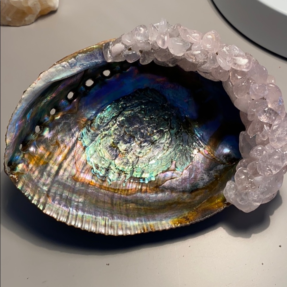 Rose Quartz Abalone 🐚